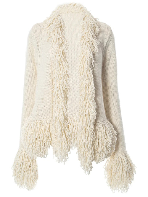 It's Giving IT Girl Crochet Knit Fringe Cardigan